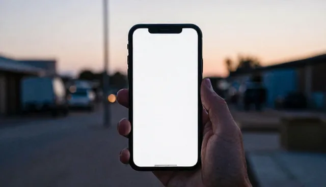 应用软件研发中的限制条件检查要点分析